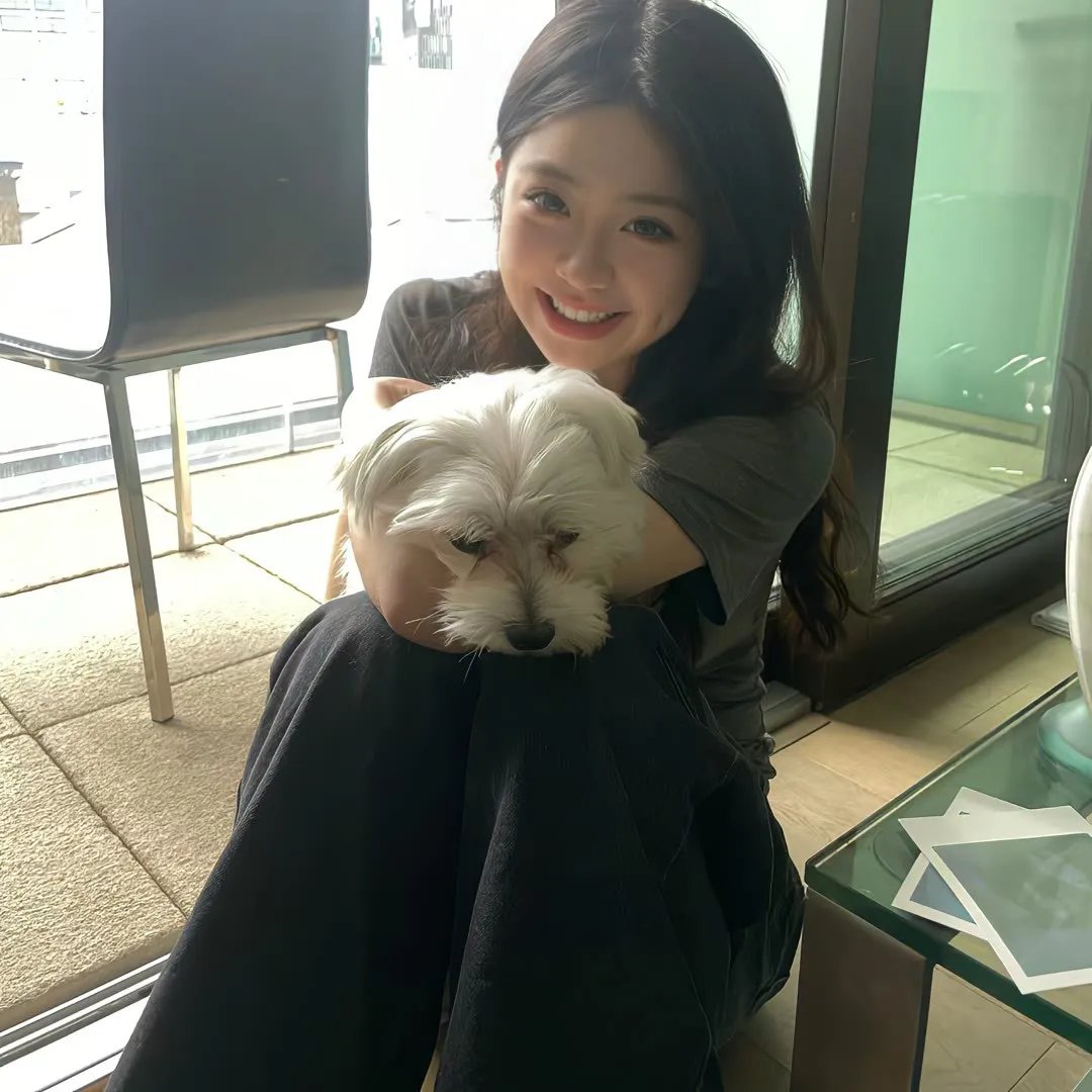 诺瓦利斯的蓝玫瑰