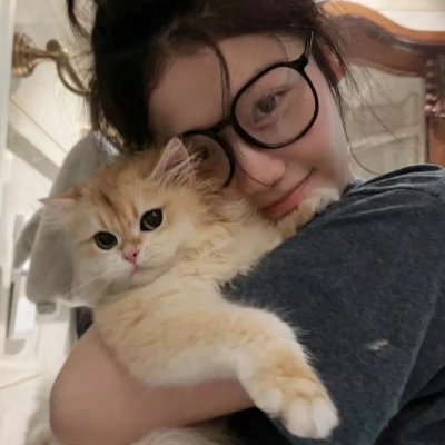 我的朋友小海豚